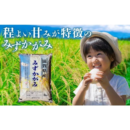 ふるさと納税 玄米 滋賀県 甲賀市  令和7年産 近江米みずかがみ玄米30kgの画像