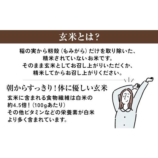 ふるさと納税 玄米 滋賀県 甲賀市  令和7年産 近江米みずかがみ玄米30kgの画像