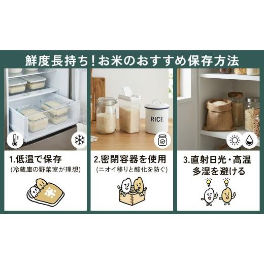 ふるさと納税 玄米 滋賀県 甲賀市  令和7年産 近江米みずかがみ玄米30kgの画像