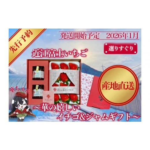 ふるさと納税 いちご 滋賀県 野洲市 先行予約『近江富士いちご』選りすぐり 華の嬉しいイチゴ&ジャムセット イチゴ9~15粒1トレイ ジャム2瓶