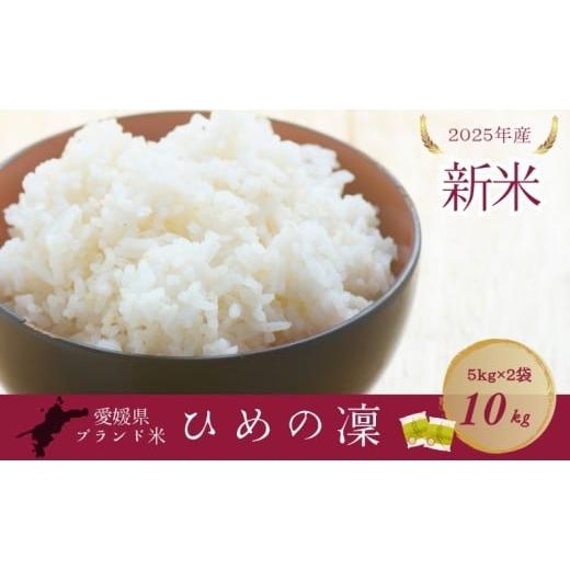 ふるさと納税 米 愛媛県 伊予市 お米 5kg×2袋 計10kg ひめの凜 令和7年産 新米 愛媛県ブランド米 愛媛県産 精米 米 こめ コメ 白米 ごはん ライス 愛媛 伊予…