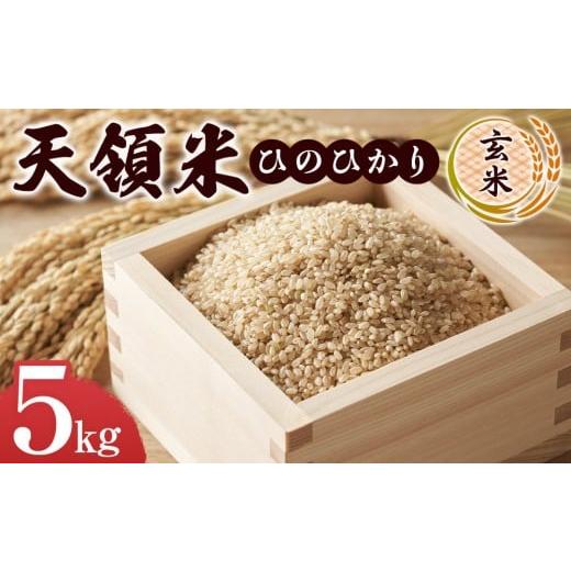 ふるさと納税 米 大分県 由布市 天領米(ひのひかり:玄米) 5kg