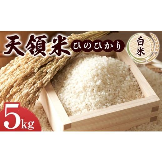 ふるさと納税 米 大分県 由布市 天領米(ひのひかり:白米) 5kg