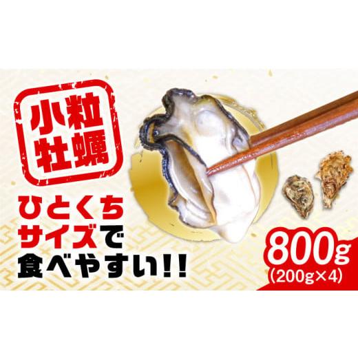 ふるさと納税 牡蠣 生牡蠣 広島県 江田島市 4月10日(金)着 生産量日本一 生牡蠣 レンジでチンするだけ簡単 江田島の小粒牡蠣『がきんちょ』(200g×4パック)…