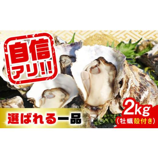 ふるさと納税 牡蠣 生牡蠣 広島県 江田島市 2月1日(日)着 特選 牡蠣三昧 生牡蠣 広島牡蠣 殻付き 2kg (加熱用) 牡蠣 かき カキ 生牡蠣 殻付き 広島 江田島…