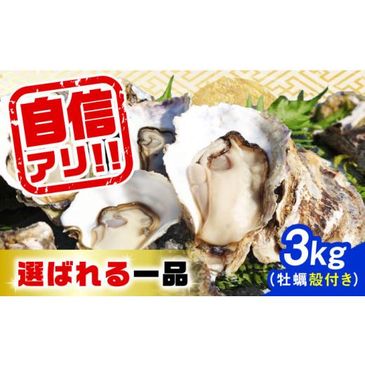 ふるさと納税 牡蠣 生牡蠣 広島県 江田島市 5月22日(金)着 加熱用 生牡蠣 殻付き 3kg 江田島市/株式会社門林水産 XAO009-107 5月22日(金)着