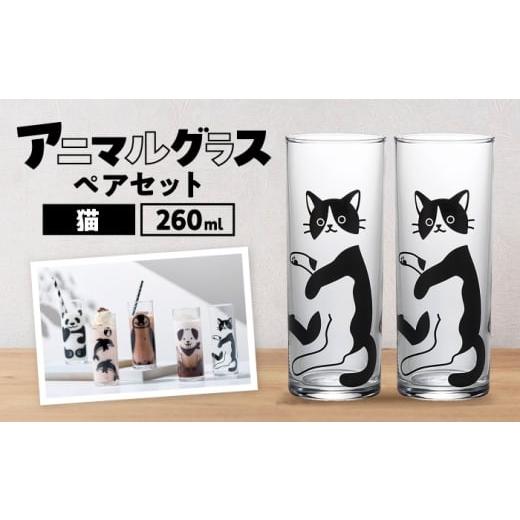 ふるさと納税 雑貨・日用品 グラス 岐阜県 多治見市 アニマルグラス(260ml)ペアセット『猫』 多治見市 / 丸モ高木陶器 グラス セット ペア