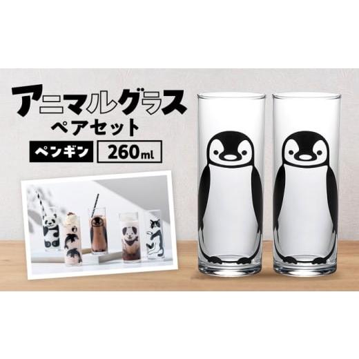 ふるさと納税 雑貨・日用品 グラス 岐阜県 多治見市 アニマルグラス(260ml)ペアセット『ペンギン』 多治見市 / 丸モ高木陶器 グラス セット ペア