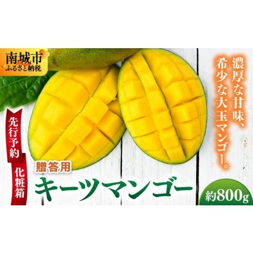 ふるさと納税 果汁飲料 マンゴー 沖縄県 南城市 先行予約 贈答用キーツマンゴー 約800g 化粧箱