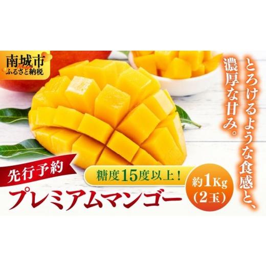 ふるさと納税 果汁飲料 マンゴー 沖縄県 南城市 先行予約 糖度15度以上 最高級プレミアムマンゴー約1kg(2玉)