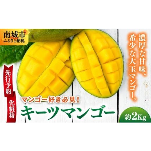 ふるさと納税 果汁飲料 マンゴー 沖縄県 南城市 先行予約 マンゴー好き必見 キーツマンゴー 約2kg 化粧箱