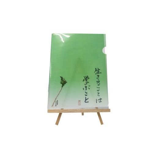 ふるさと納税 文房具・玩具 大阪府 守口市 オールケアクリアファイルA4 生きることは学ぶこと 2448