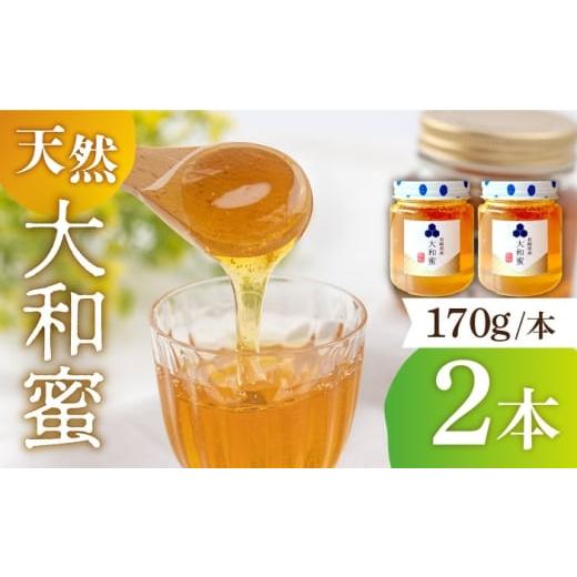 ふるさと納税 加工品等 はちみつ 長崎県 長与町 新蜜2025 長崎県産 大和蜜(天然はちみつ)170g×2本 長与町/蜜ロマン養蜂園