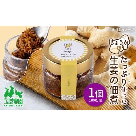 ふるさと納税 缶詰・瓶詰 野菜類 熊本県 合志市 食べる生姜 しょうがの佃煮 (100g×1個) うさぎ農園