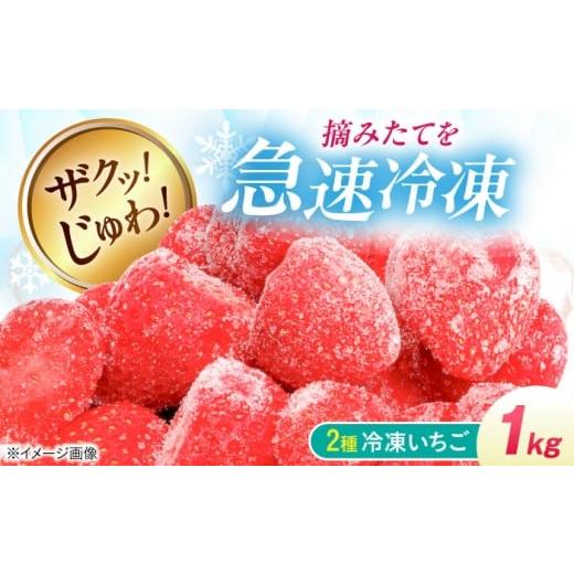 ふるさと納税 いちご 滋賀県 長浜市 冷凍いちご 1kg(紅ほっぺ・かおり野) 滋賀県長浜市/株式会社みつなりのさと