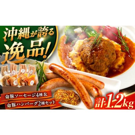 ふるさと納税 豚肉 セット 沖縄県 沖縄市 通常納期 『命豚ソーセージ4種&命豚ハンバーグ2種セット』 豚肉 ハンバーグ ソーセージ 詰め合わせ お取り寄せ 国…