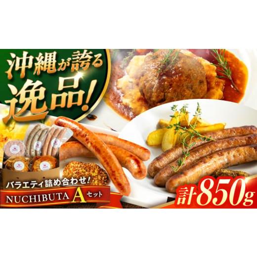 ふるさと納税 豚肉 セット 沖縄県 沖縄市 通常納期 『NUCHIBUTA Aセット』 豚肉 ハンバーグ ソーセージ 詰め合わせ お取り寄せ 国産 ギフト 冷凍 沖縄市 / D…