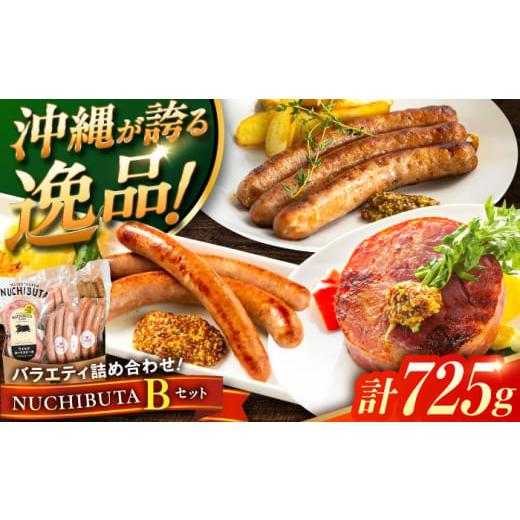 ふるさと納税 豚肉 セット 沖縄県 沖縄市 通常納期 『NUCHIBUTA Bセット』 豚肉 ポークステーキ ソーセージ 詰め合わせ お取り寄せ 国産 ギフト 冷凍 沖縄市 …