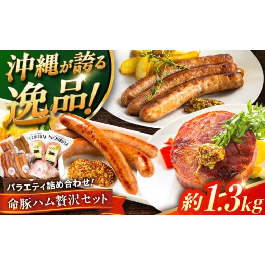 ふるさと納税 豚肉 セット 沖縄県 沖縄市 通常納期 『ハム贅沢セット』 豚肉 ポークステーキ ソーセージ ハム 詰め合わせ お取り寄せ 国産 ギフト 冷凍 沖縄…
