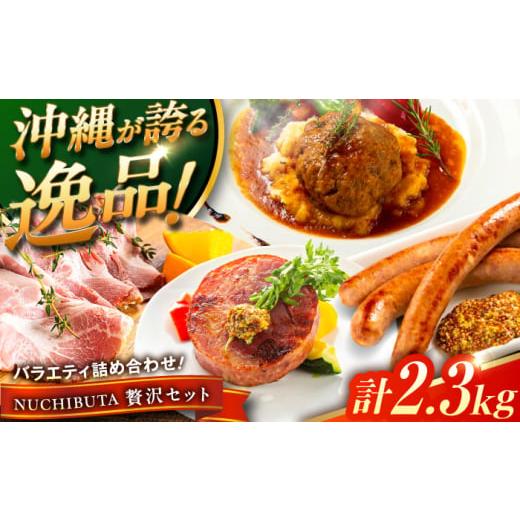 ふるさと納税 豚肉 セット 沖縄県 沖縄市 通常納期 『NUCHIBUTA 贅沢セット』 豚肉 ハンバーグ ソーセージ ハム 詰め合わせ お取り寄せ 国産 ギフト 冷凍 沖…