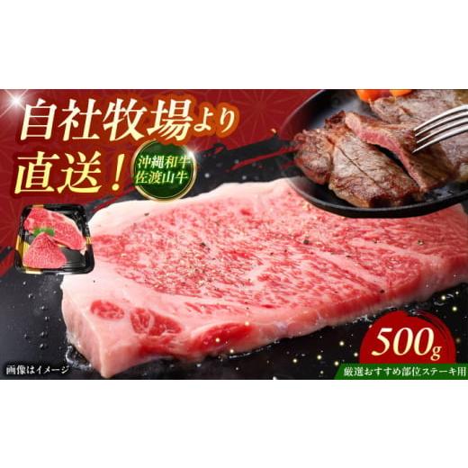 ふるさと納税 牛肉 ステーキ 沖縄県 沖縄市 通常納期 厳選 おすすめ部位 沖縄和牛 佐渡山牛 ステーキ肉 500g ステーキ 牛肉 和牛 焼肉 赤身 沖縄市 / 肉のサ…