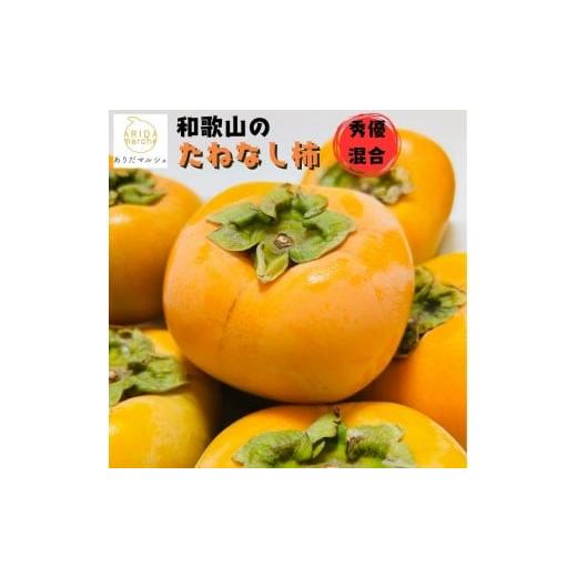 ふるさと納税 果物類 柿 和歌山県 那智勝浦町 [先行受付・2026年10月〜発送]和歌山のたねなし柿 約2kg [MS131]