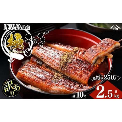 ふるさと納税 うなぎ 鹿児島県 志布志市 訳あり 楠田の極うなぎ蒲焼き10尾(計2.5kg以上・1尾あたり250g〜289g) 山椒付たれ 鰻 ウナギ 蒲焼 うな重 ひつまぶし…