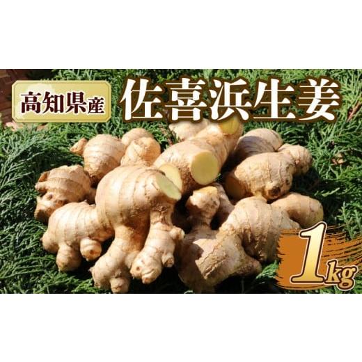 ふるさと納税 野菜類 きのこ 高知県 室戸市 国産 佐喜浜生姜 約1kg 生姜 ショウガ 野菜 やさい 薬味 料理 家庭用 農家直送 旬 野菜 生姜焼き 高知県 室戸市