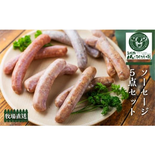 ふるさと納税 肉 ソーセージ 岐阜県 飛騨市 年内発送 燻製ソーセージ5点セット 肉 詰め合わせ おつまみ 山之村牧場 国産 肉 ギフト 冷凍 時間指定可 飛騨市 …