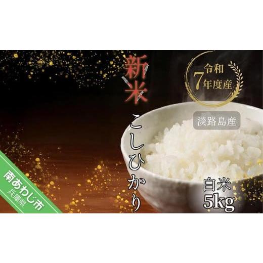 ふるさと納税 米 コシヒカリ 兵庫県 南あわじ市 令和7年産新米 淡路島産こしひかり 白米5kg