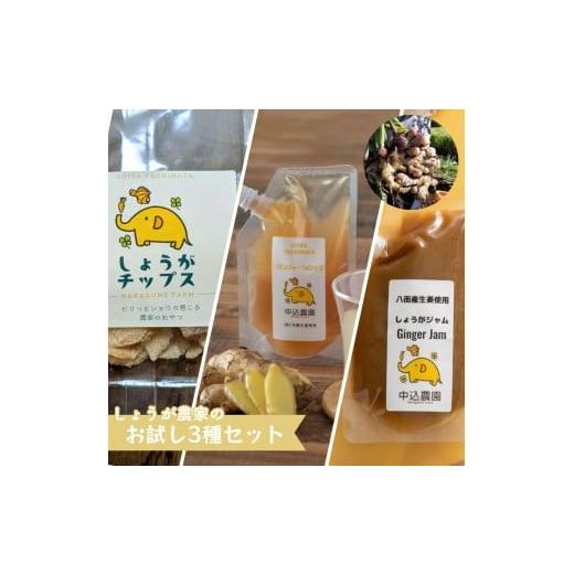 ふるさと納税 加工品等 千葉県 八街市 しょうが農家のしょうがチップス・しょうがのジャム・ジンジャーシロップお試しセット 生姜 しょうが ジンジャー 八街し…