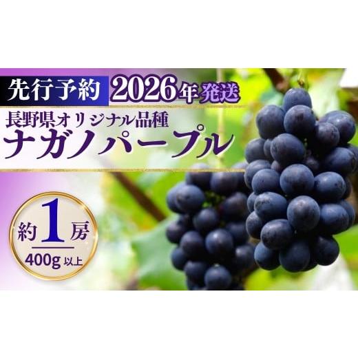 ふるさと納税 果物類 ぶどう 長野県 千曲市 2026年先行予約 ナガノパープル 400g以上(1房) | 果物 フルーツ 黒ぶどう 葡萄 ブドウ 種無し 種なし 皮ごと 千…