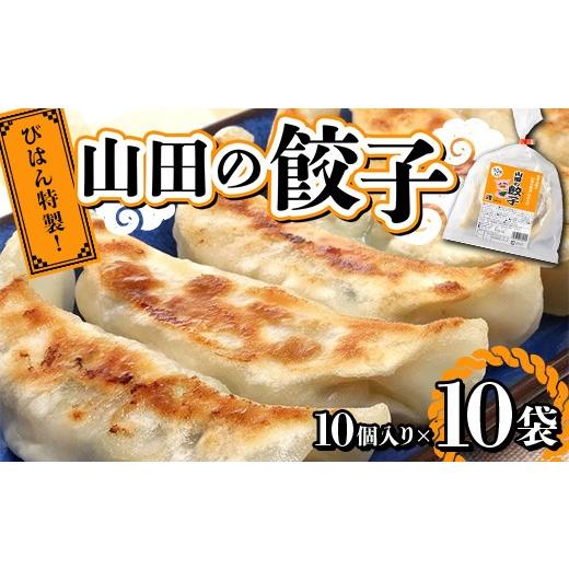 ふるさと納税 餃子 岩手県 山田町 山田の餃子 10個入り×10袋 びはん びはんぱない 岩手県 三陸 三陸山田 山田町 肉 中華 山田の醤油 惣菜 餃子 ぎょうざ 冷凍…