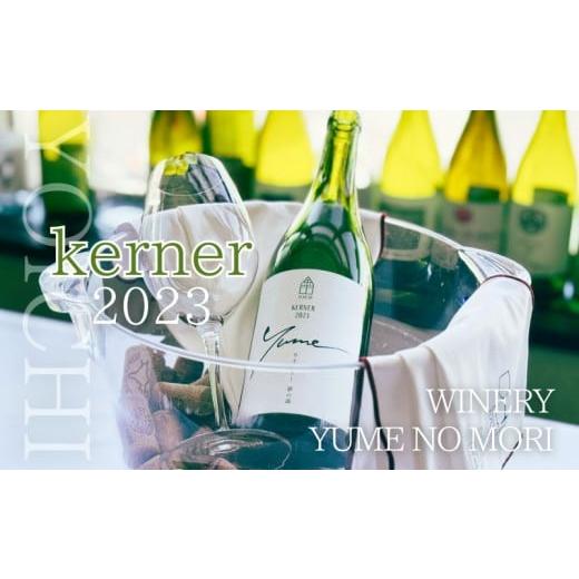 ふるさと納税 ワイン 白ワイン 北海道 余市町 数量限定 余市「ワイナリー夢の森」ケルナー2023 750ml