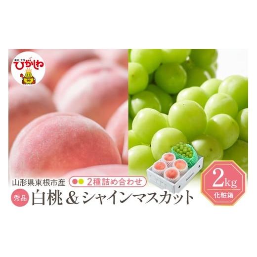 ふるさと納税 もも 山形県 東根市 2026年 東根市産 白桃(品種おまかせ)&シャインマスカット 詰め合わせ 秀品 化粧箱入り 2kg 山形県 東根市 hi027-243 約2…