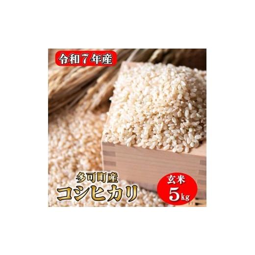 ふるさと納税 玄米 兵庫県 多可町 玄米 お米 5kgコシヒカリ 兵庫県多可町産 1292