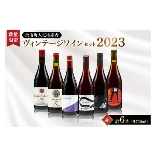ふるさと納税 ワイン セット 北海道 余市町 数量限定 余市町人気生産者 2023年ヴィンテージ 6本セット 赤750ml×6本