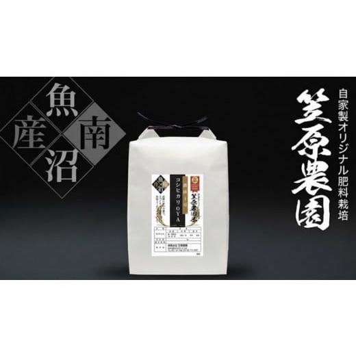 ふるさと納税 米 新潟県 南魚沼市 令和7年産新米 南魚沼産笠原農園米 コシヒカリの親 〜農林1号〜 精米5kg