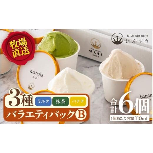 ふるさと納税 菓子 アイス 福井県 坂井市 先行予約 はんすうカップアイス バラエティパック B 2025年12月上旬より順次発送予定 アイス ジェラート ひんやりス…