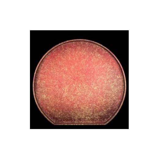 ふるさと納税 陶磁器・漆器・ガラス 和歌山県 高野町 木製 半月トレイ 乱糸(マット仕上げ)赤溜[NF71] 赤溜