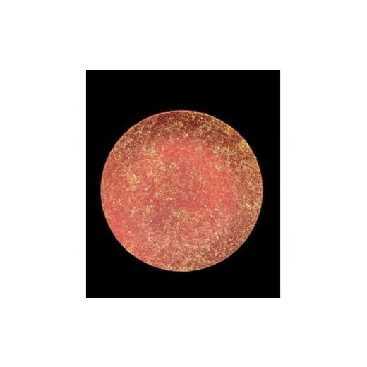 ふるさと納税 陶磁器・漆器・ガラス 和歌山県 高野町 フラットプレート(D)乱糸(マット仕上げ)赤溜[NF107] 赤溜