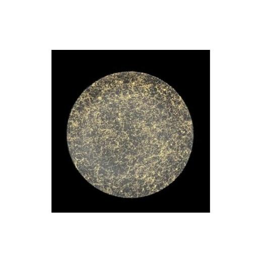 ふるさと納税 陶磁器・漆器・ガラス 和歌山県 高野町 フラットプレート(D)乱糸(マット仕上げ)漆黒[NF110] 漆黒