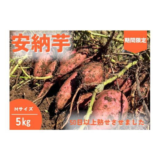 ふるさと納税 野菜類 サツマイモ 鹿児島県 西之表市 種子島 石蔵 長期熟成 安納いも ( Mサイズ ) 5kg NFN638 400pt // 有機肥料 減農薬栽培 安全安心