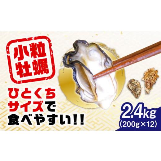 ふるさと納税 牡蠣 生牡蠣 広島県 江田島市 4月1日(水)着 特選 牡蠣三昧 生牡蠣 レンジでチンするだけ簡単 江田島の小粒牡蠣『がきんちょ』 200g×12パック…
