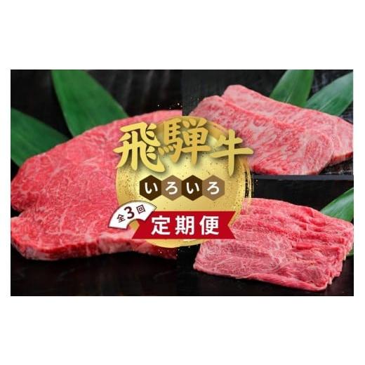 ふるさと納税 牛肉 ヒレ 岐阜県 瑞穂市 チョイス限定 定期便 飛騨牛いろいろ定期便 3ヶ月Aセット 離島への配送不可