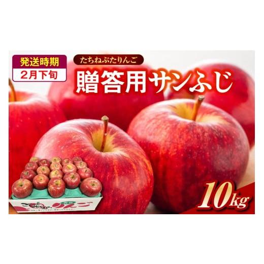 ふるさと納税 りんご 青森県 五所川原市 サンふじ 贈答規格 約10kg 2026年2月下旬発送 「たちねぷたりんご」 青森県 五所川原市 2月下旬発送