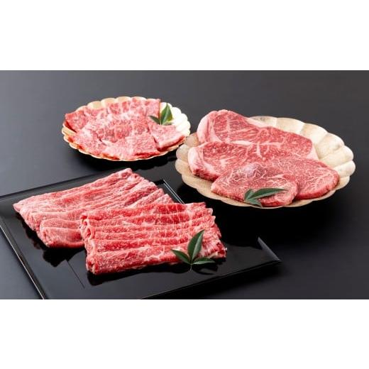 ふるさと納税 牛肉 焼肉・バーベキュー 長崎県 佐世保市 B558 [定期便]長崎県産牛 食べ比べ おためし便 3回お届け