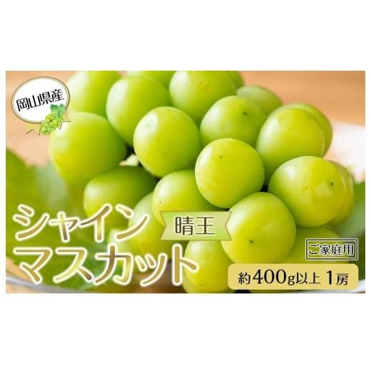 ふるさと納税 ぶどう マスカット 岡山県 岡山市 岡山県産 ぶどう 2026年発送 ご家庭用 シャインマスカット 晴王 約400g×1房 ブドウ フルーツ 果物