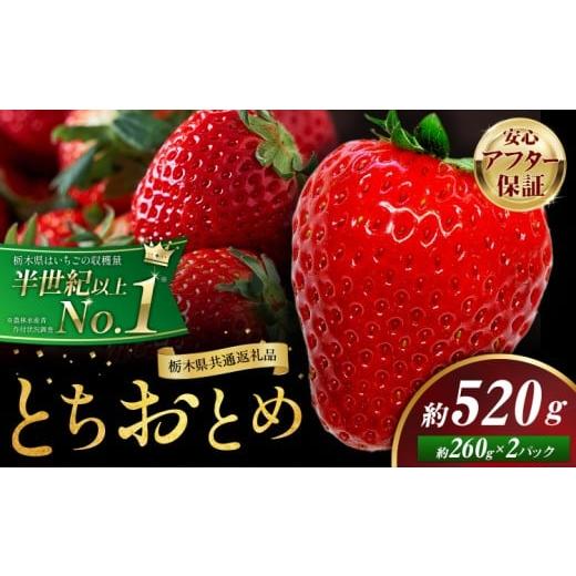 ふるさと納税 いちご 栃木県 野木町 栃木 いちご とちおとめ 2パック 520g [1月中旬-5月末頃出荷] 栃木県 野木町 いちご イチゴ 苺 とちおとめ 果物 フルー…