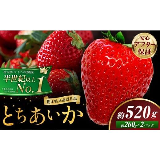 ふるさと納税 いちご 栃木県 野木町 栃木 いちご とちあいか 2パック 520g [1月中旬-5月末頃出荷] 栃木県 野木町 いちご イチゴ 苺 とちあいか 果物 フルー…